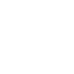 ce logo Chandler