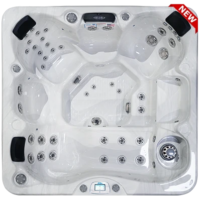 Avalon-X EC-849LX hot tubs for sale in Chandler