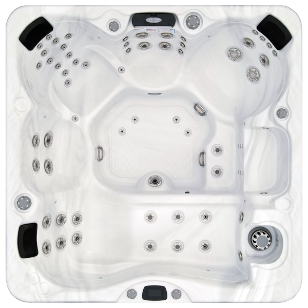 Avalon-X EC-867LX hot tubs for sale in Chandler